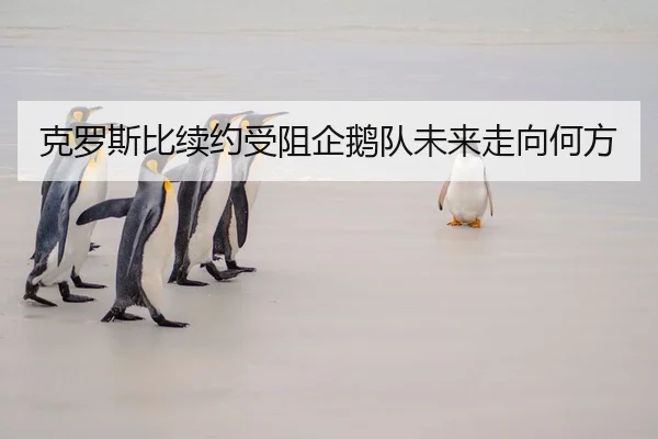 克罗斯比续约受阻企鹅队未来走向何方