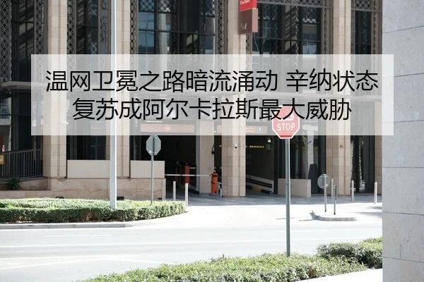 wen-wang-wei-mian-zhi-lu-an-liu-yong-dong-xin-na-zhuang-tai-fu-su-cheng-a-er-ka-la-si-zui-da-wei-xie-2-693.jpg