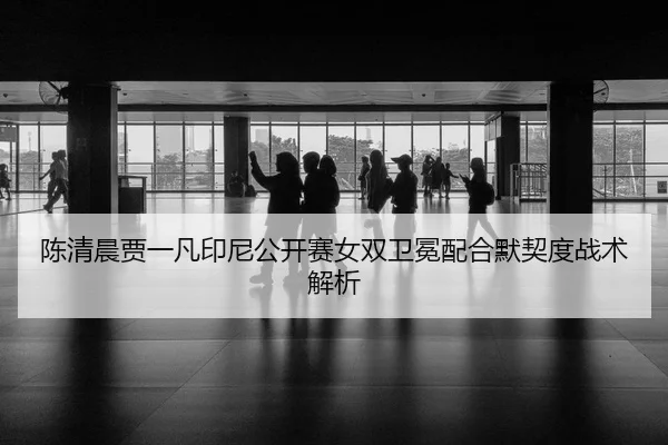 陈清晨贾一凡印尼公开赛女双卫冕配合默契度战术解析